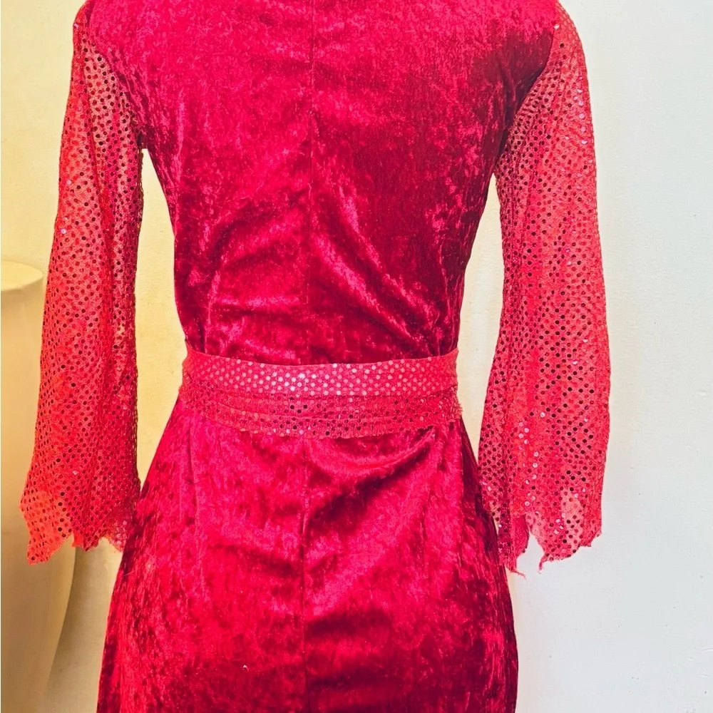 Devilish Diva Costume